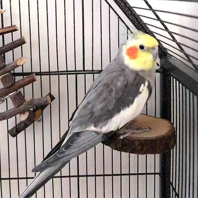 Hamiledyi Perch Platform for Bird Cage, Natural Round Wooden Stand Platform - Image 3