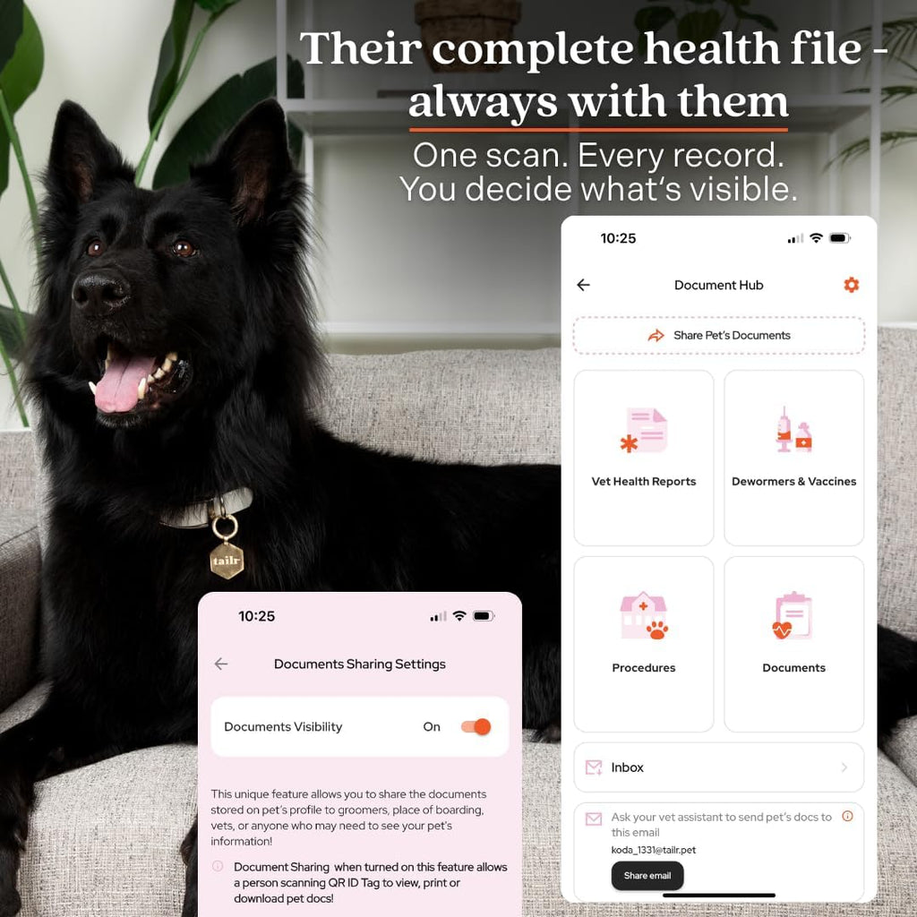 Slide-On Pet ID QR Tag, Gold-Plated Military-Grade Steel, Includes Free Digital Pet Profile App with Health Records Manager & Document Hub (Medium)