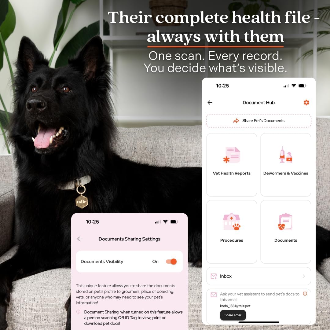 Slide-On Pet ID QR Tag, Gold-Plated Military-Grade Steel, Includes Free Digital Pet Profile App with Health Records Manager & Document Hub (Medium)