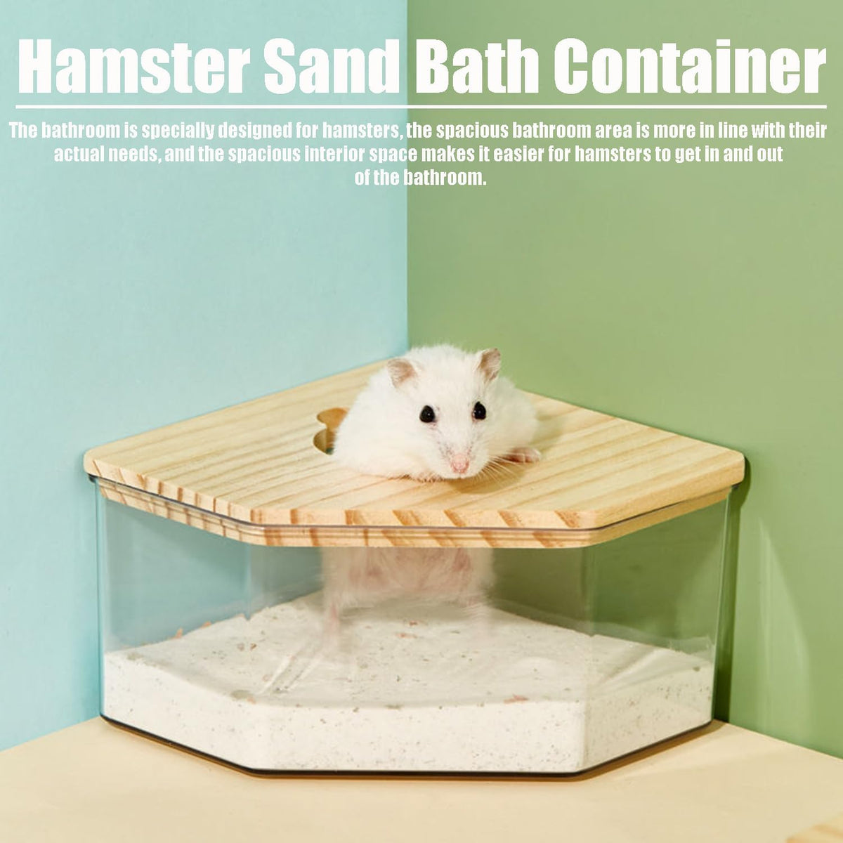 Hamster Sand Bath Container with Ladder, 1 Count