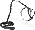 PetSafe Come With Me Kitty Cat Harness & Bungee Leash by PetSafe