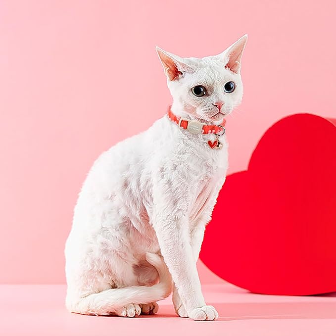 Unique style paws 2 Pack Valentine's Day Kitten Collar Breakaway - Image 6