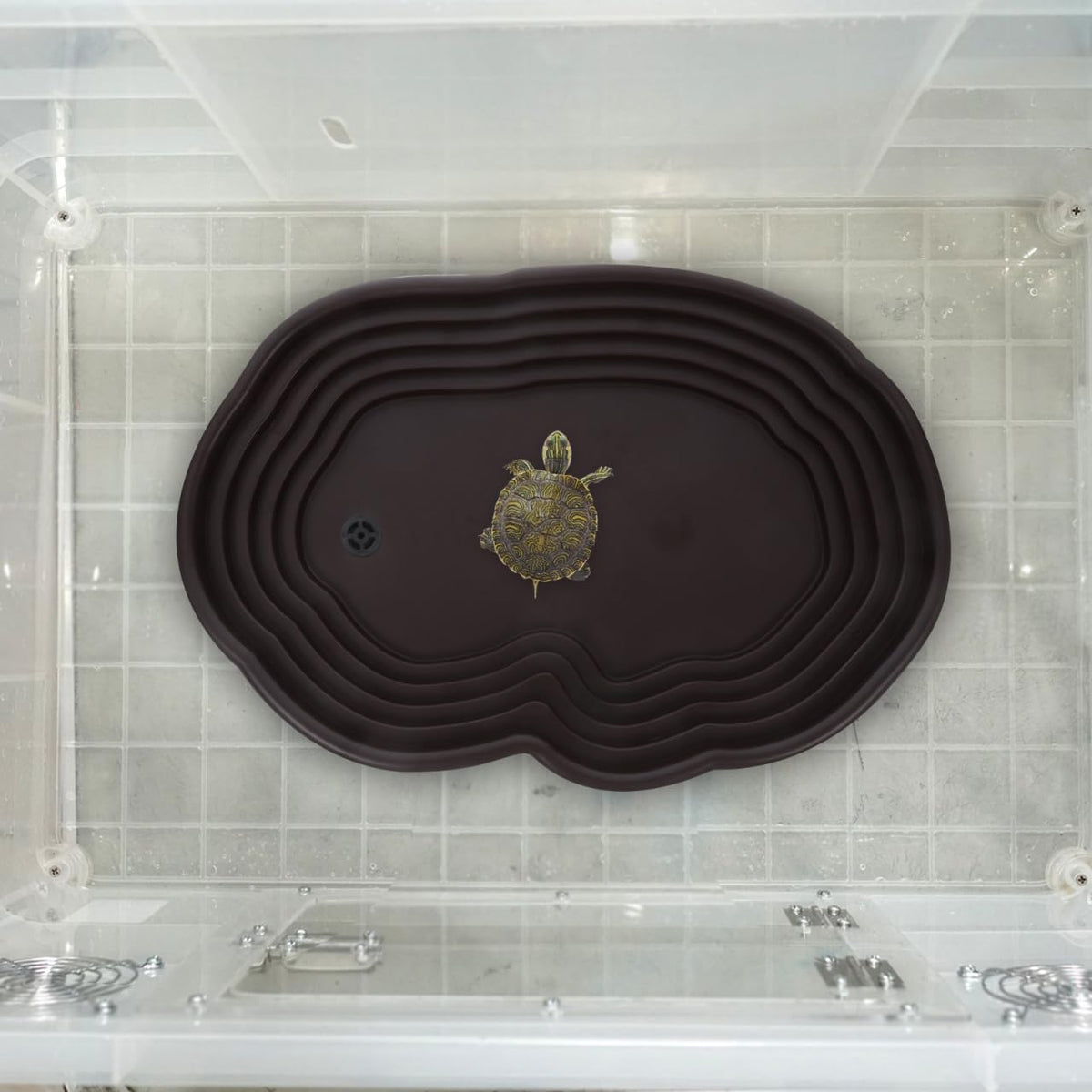 Kisangel Large Turtle Bathing Pool Coffee Color 15.35X10.43X1.77in Re