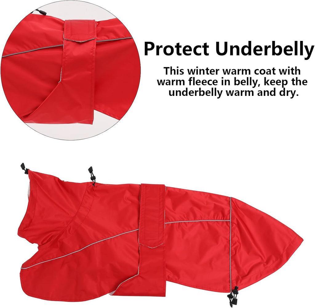 Greyhound Lurcher Raincoat, Whippet Rain Gear with Reflective Bar, Rain/Waterproof, Adjustable Bands and Drawstring in Autumn and Winter - Red - S