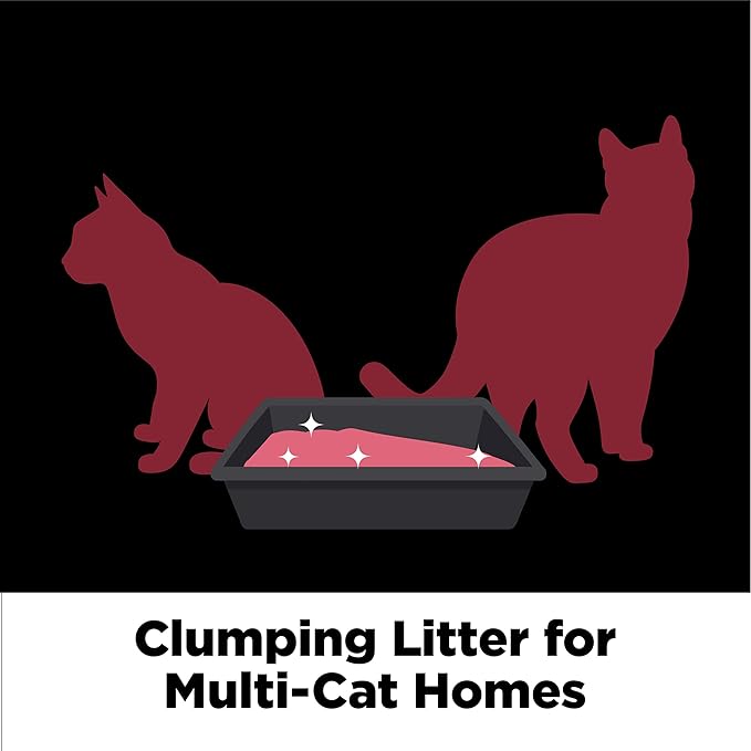 ARM & HAMMER Clump & Seal Platinum Cat Litter, 14-Day Odor Control, Rock-Hard - Image 5