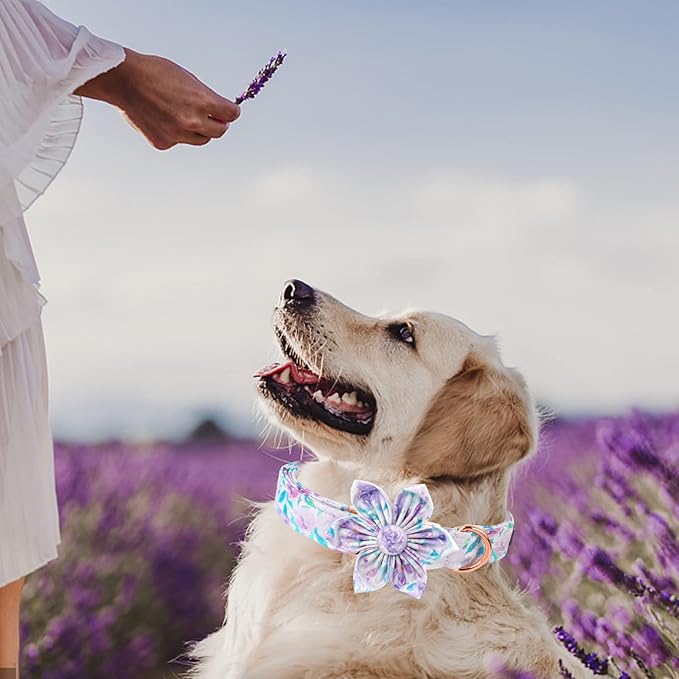 Lionheart Glory Dog Collar, Cute Floral Pattern Pet Collar Adjustable Dog Collar - Image 6