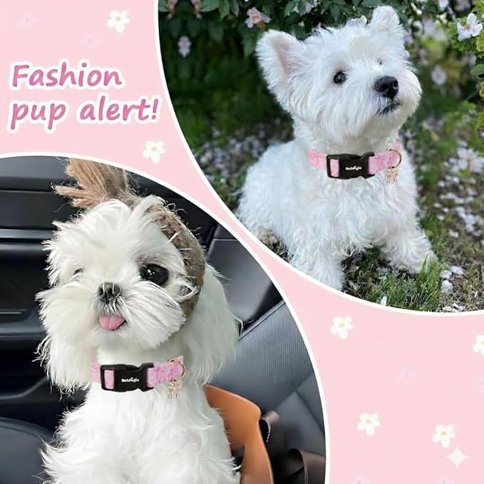 Small Dog Collar, Girl Boy Dog Collars - Image 4