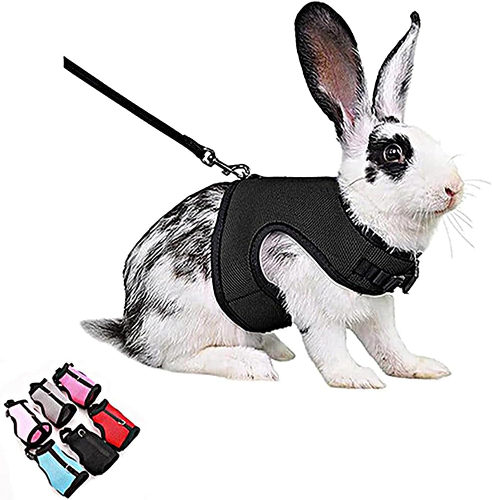 Rabbit Harness and Leash Set, Bunny Vest Leash Eescape Proof Mesh Walking Training for Small Animal Pets Rat Hamster Squirrel Ferret Guinea Pig Bunny,Pink M