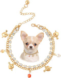 HOWWFALY Dog Collar and Cat Chain Necklace Stainless Steel Adjustable 18K Gold by HOWWFALY