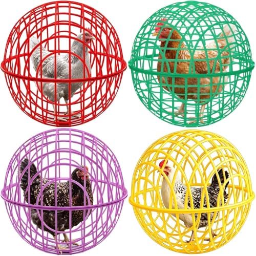 Chicken Ball Cage 4 Pack