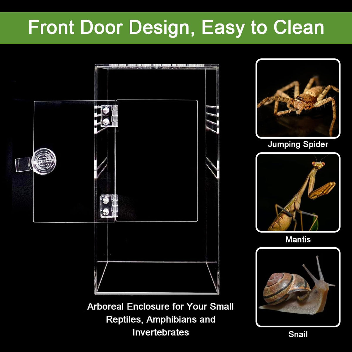 Jumping Spider Enclosure Acrylic Jumping Spider Terrarium with Front Opening Door, Micro Habitat Terrarium for Small Tree Dwelling Reptiles, Arboreal Tarantula Enclosure (6X6X12 Inches)