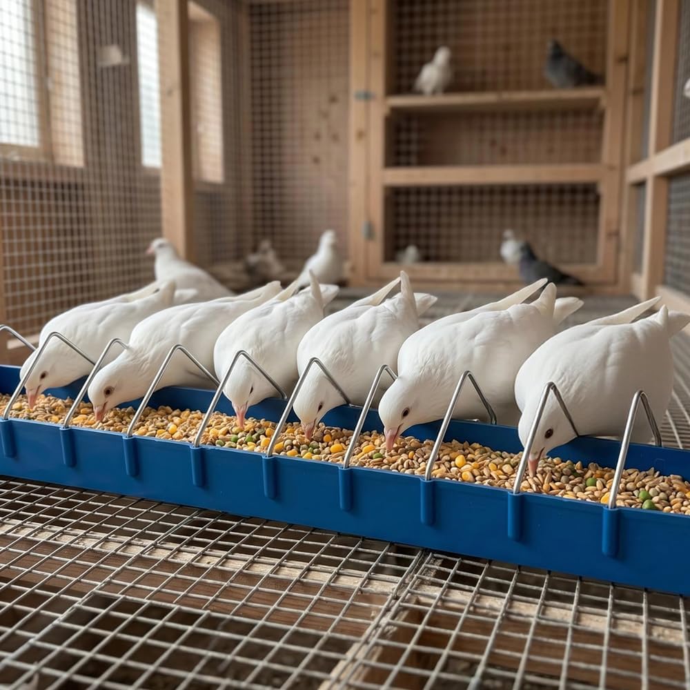 4 Pack Large Size Pigeon Feeder 11 Slot Plastic Thick Container Trough Dish Food Dispenser Less Waste with Removable Steel Wires for Pigeons Quails Birds Chicks Ducklings Poultry (Length, 23.6 inches)