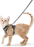 rabbitgoo Cat Harness and Leash by rabbitgoo