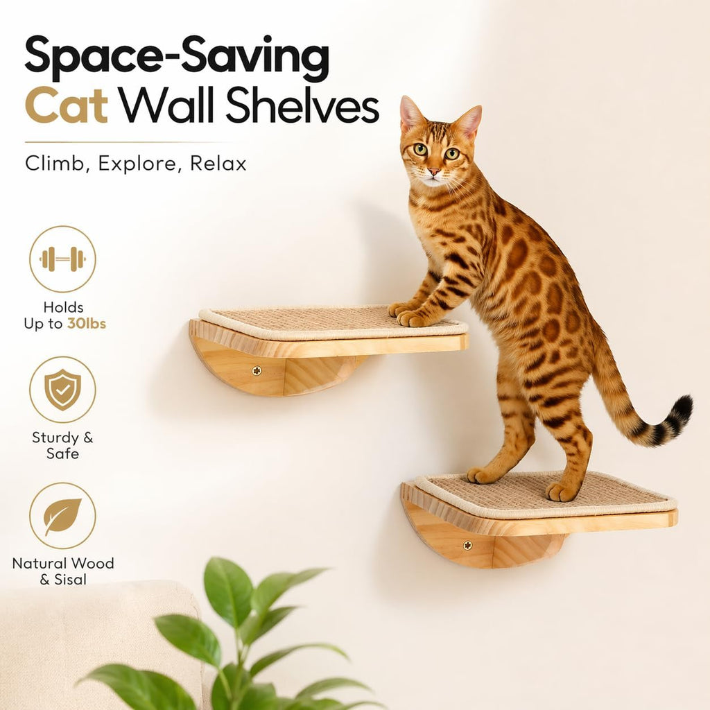 Cat Window Perches, Cat Wall Shelves with Curved Bed and 2 Sisal Mat Steps
