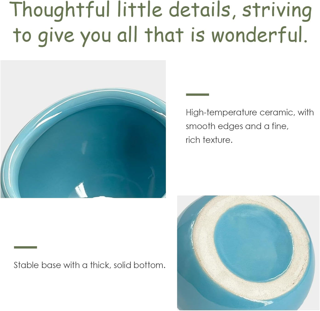 Hamster Food Bowl 2 Packs, Ceramic Slanted Bowl Food Dish Water Bowl for Dwarf Hamster Gerbil Mouse Rat Chinchilla Hedgehog Guinea Pig, Blue and Pink