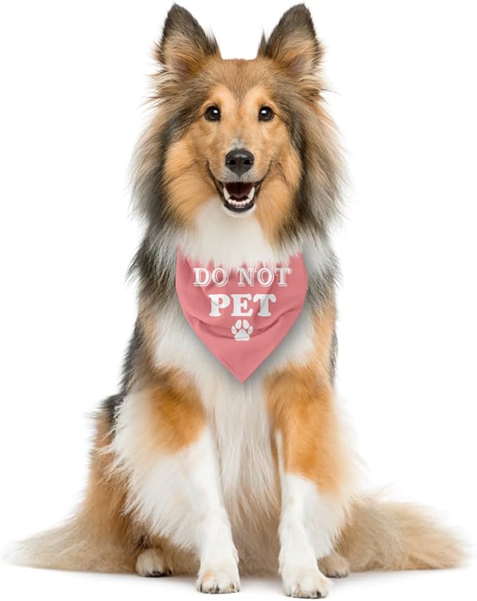 E61 Dog Triangle Scarf - Image 3