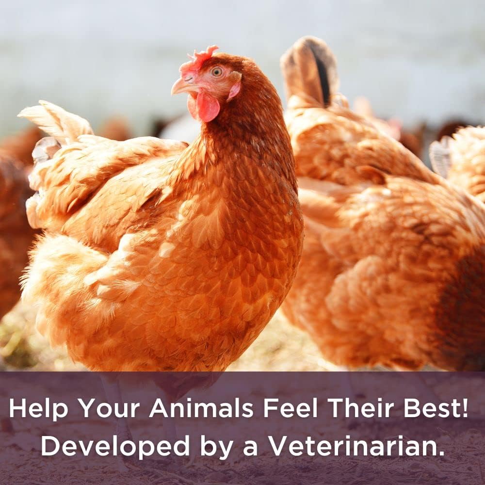 Dr. Connie's Livestock Probiotic + Electrolyte Powder for Animals