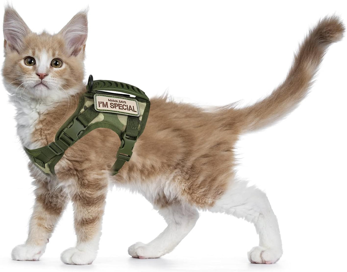 Tactical Cat Harness for Walking Escape Proof, Soft Mesh Adjustable Pet Vest Harness for Large Cat,Small Dog