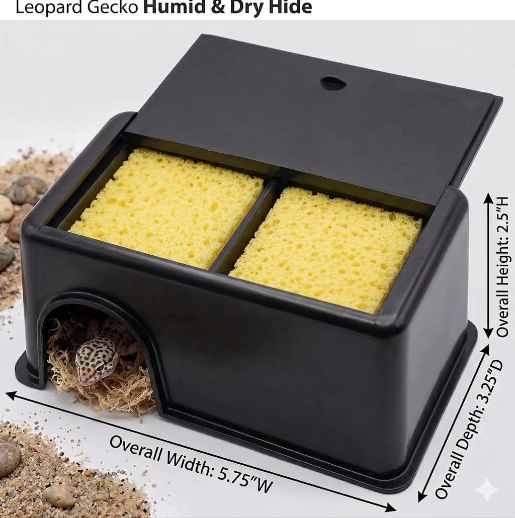 Small Humid Hide for Bearded Dragon, Corn Snake, Ball Python, Crested Gecko, Lizard, Leopard Gecko, Turtle, Tortoise, Frog - 5.75"x3.25"x2.5" with Sponges