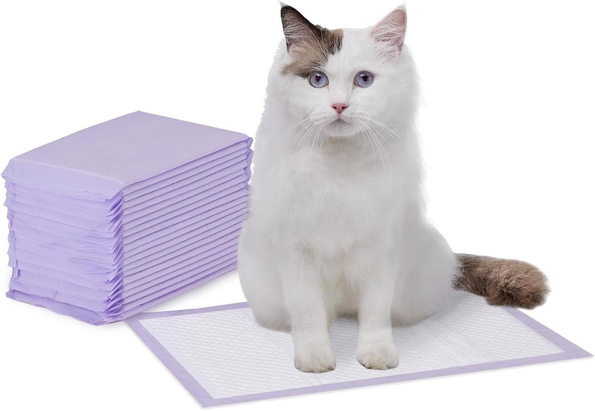Amazon Basics Cat Litter Pee Pads, Odor Control with Fresh Scent, Super Absorbent, Disposable, Universal Fit Litter Box, Purple and White, 40 Count