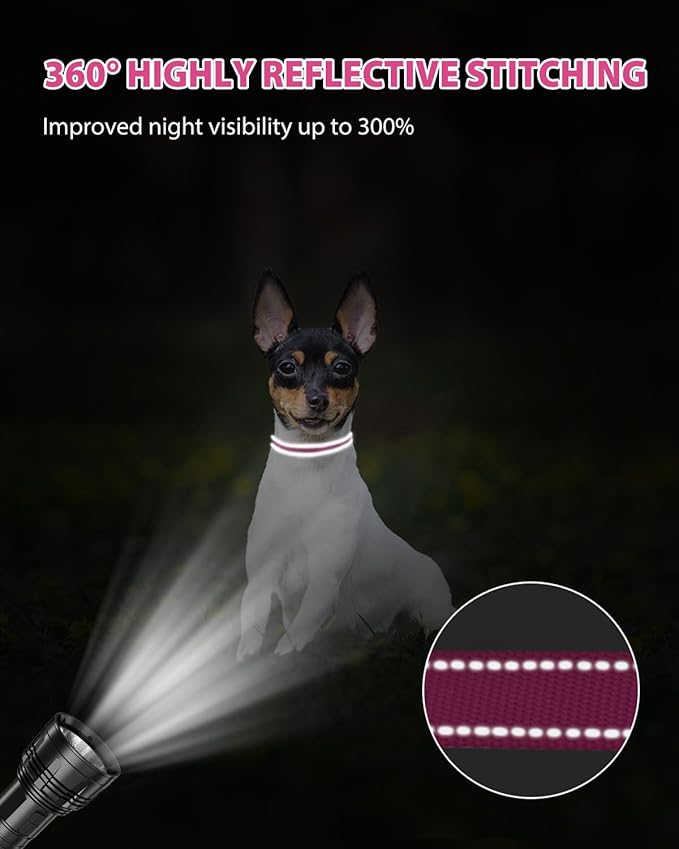 Joytale Small Dog Collar, Reflective and Adjustable Nylon Collar - Image 5
