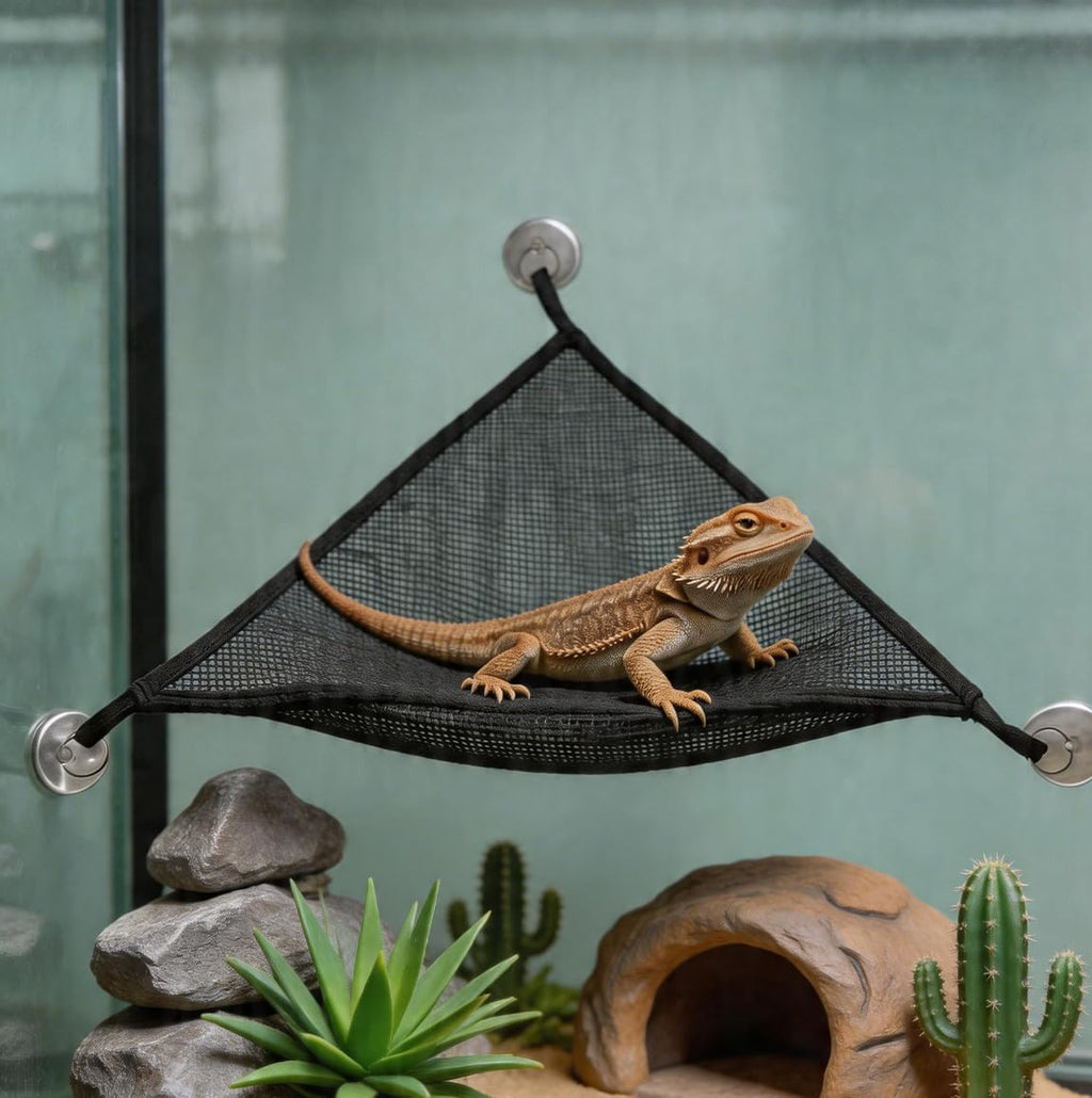 3 PCS Ball Python Tank Accessory, Snake Enrichment Toys, Jungle Gym Ball with Chain, 3 Climbing Rings, Triangle Mesh Hammock with Suction Cups, Complete Habitat Decor for Snakes & Reptiles