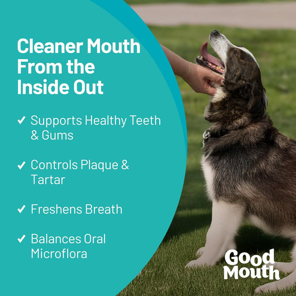 Good Mouth Dental Chews for Dogs, Cheeseburger, 60 Ct