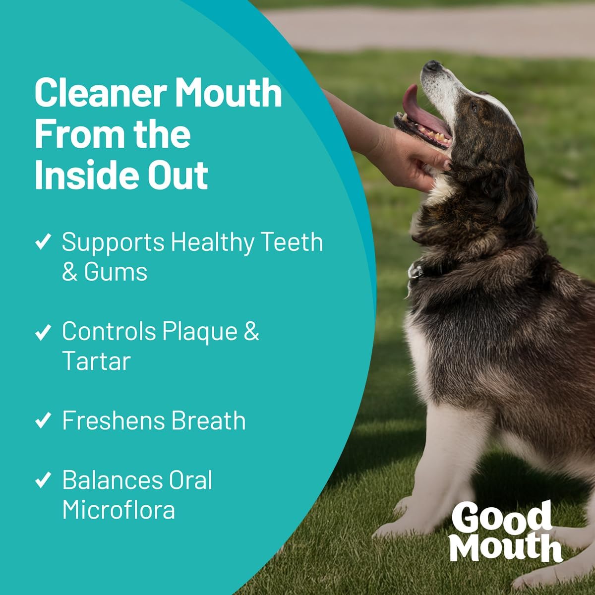 Good Mouth Dental Chews for Dogs, Cheeseburger, 60 Ct