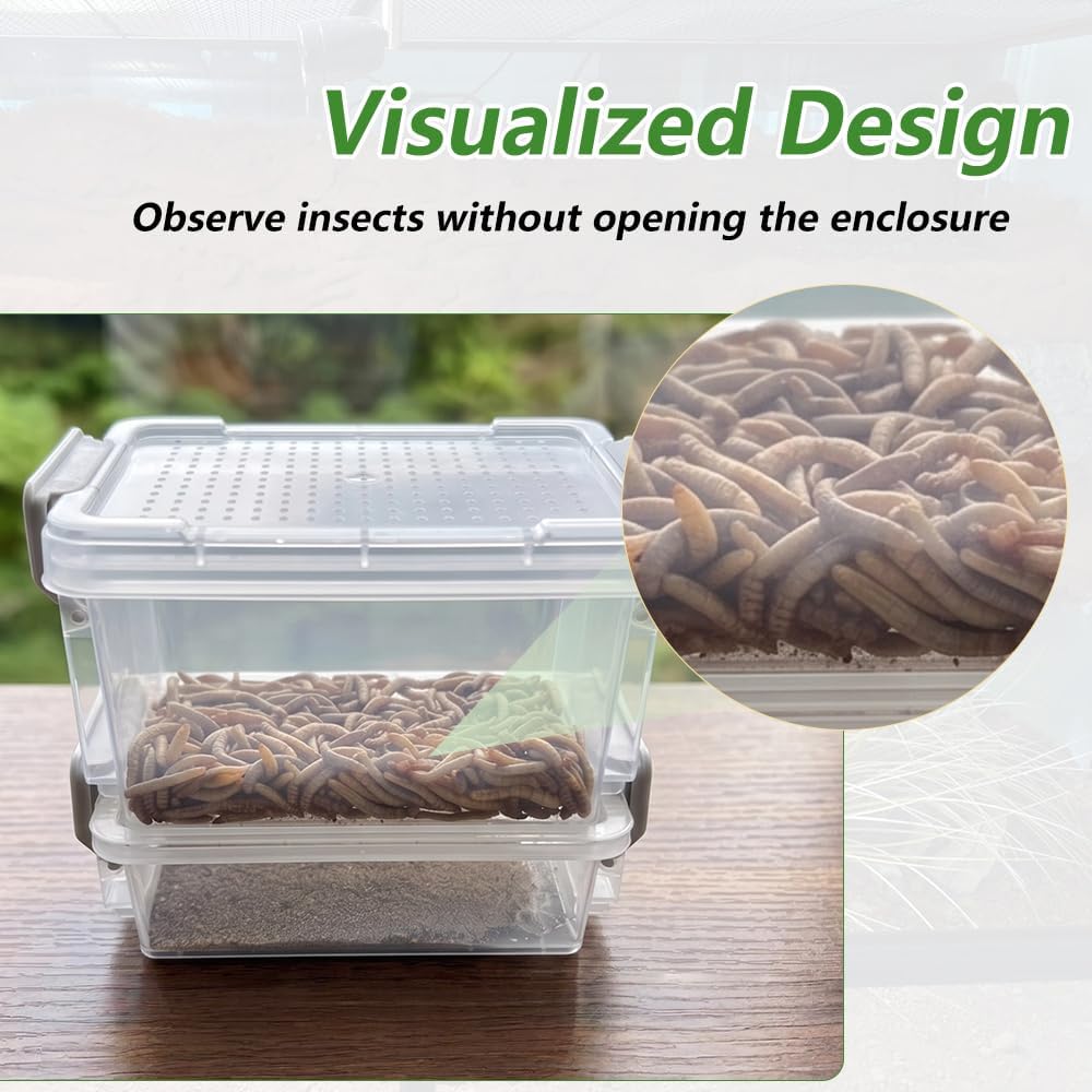 Two-Layer Mealworm Breeding Box Frass Separator Rearing Container