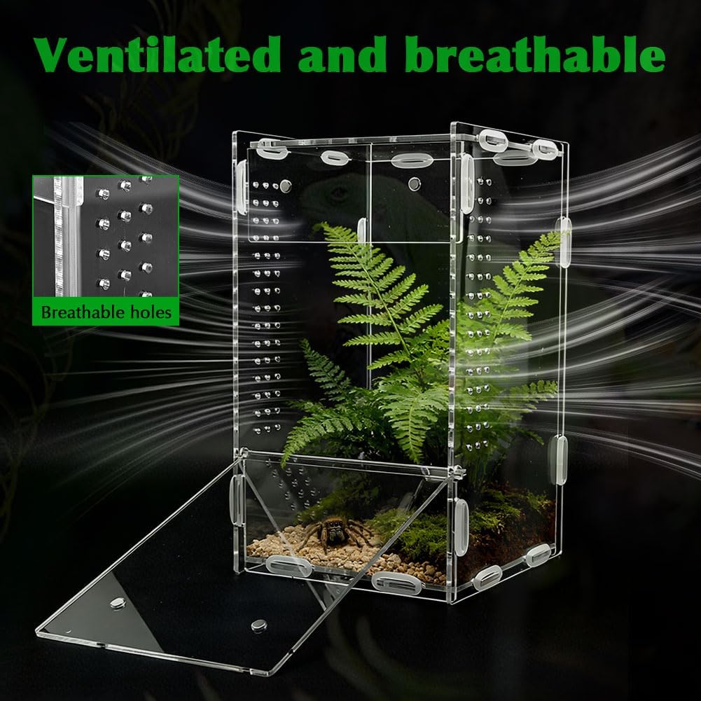 Jumping Spider Enclosure, Acrylic Terrarium for Small Reptiles, 4x4x8 Inch