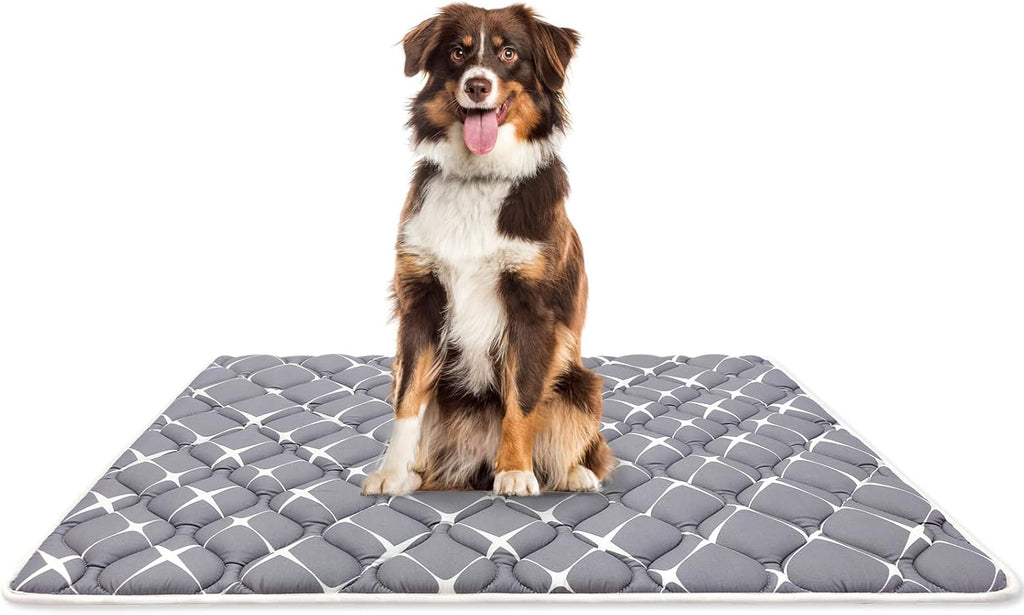 Bubble bear Dog Crate Pad - Ultra Soft, Washable Crate Mat, Anti-Slip Kennel Pad for Small/Medium/Large Dogs, Dark-Hued to Hide Stains (36"x23")