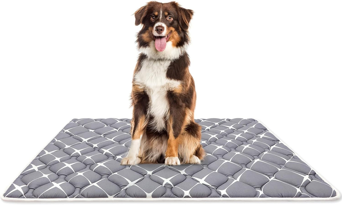 Bubble bear Dog Crate Pad - Ultra Soft, Washable Crate Mat, Anti-Slip Kennel Pad for Small/Medium/Large Dogs, Dark-Hued to Hide Stains (36"x23")