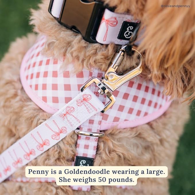 Lucy & Co. Ballet Bows Dog Collar - Image 5