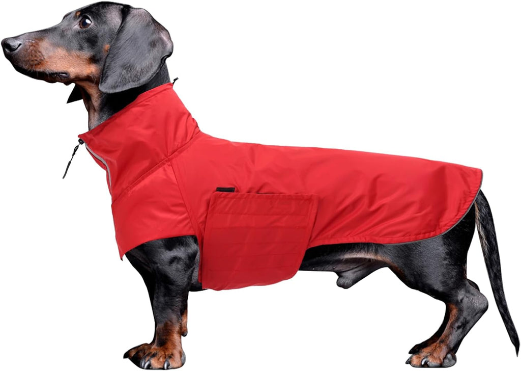 Geyecete Dachshund Raincoat,Miniature Dachshund Raincoat Waterproof Adjustable Dachshund Raincoat with High Neck with Harness Hole for Dachshund-Yellow-L