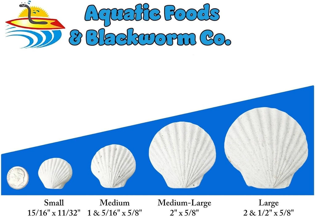 Calcium Feeder Medium-Large Shells. Extra Thick Shells for Shrimp, Snails, Crabs, Crayfish, Hermit Crabs and All Tropical Fish…10 Count Jar
