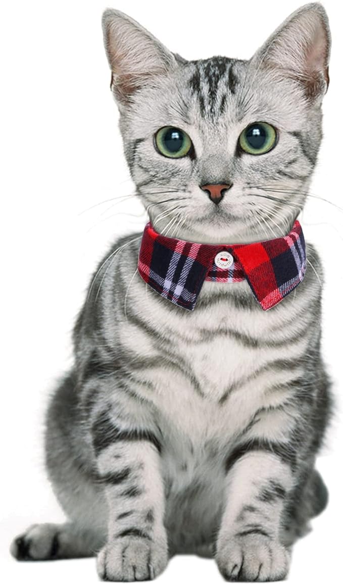 Faleela 2 Pack/Set Cat Collar - Image 5