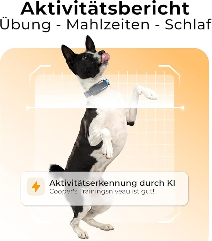 Invoxia Minitailz - Image 6