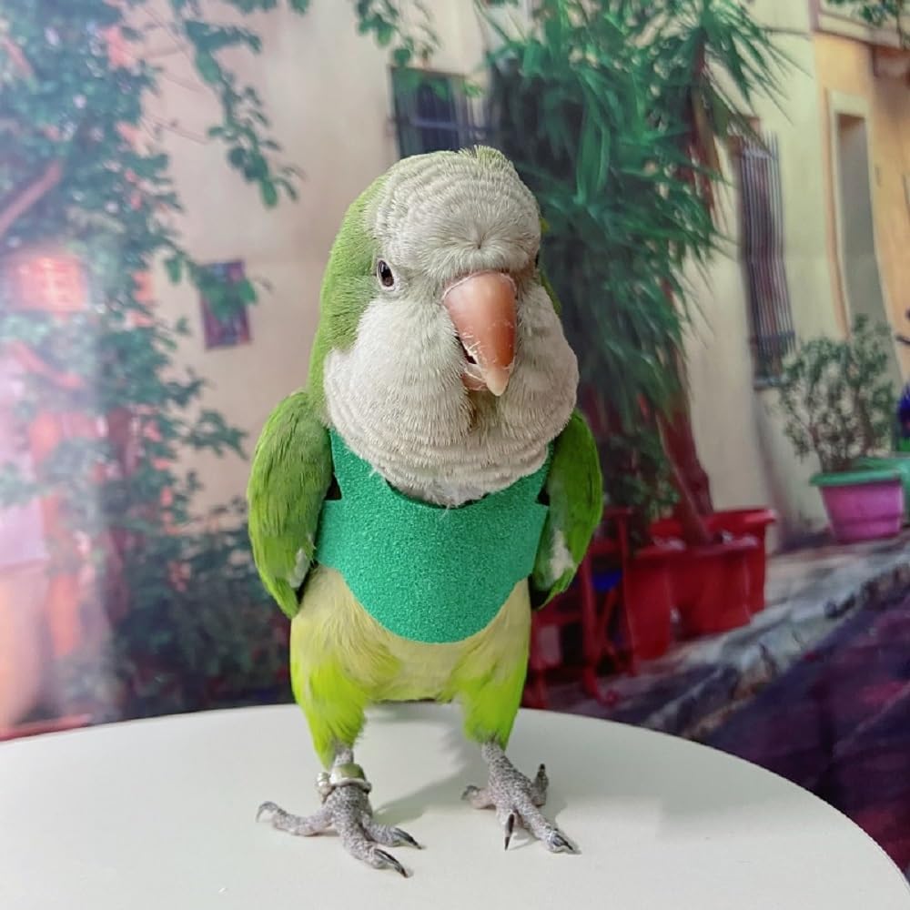 Bird Flight Harness Vest, Parrot Flight Suit with Leash for Parakeets, Bird Flying Clothes with Rope and Handle for Outdoor Activities Training, Anti Bite (XS)