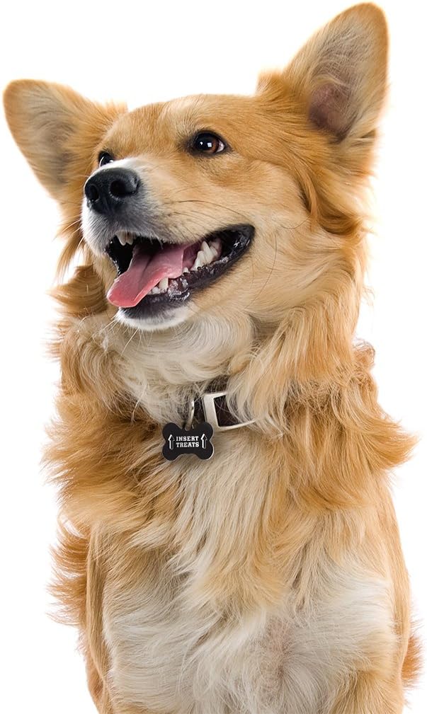 Dynotag® Web Enabled Super Pet ID Smart Tag with DynoIQ™ & Lifetime Recovery Service. Play Series: Bone (Insert Treats)