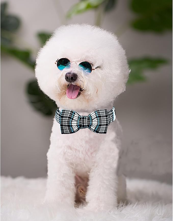 Lionheart glory Dog Bow Collar Blue and Black Plaid Dog Collar - Image 4