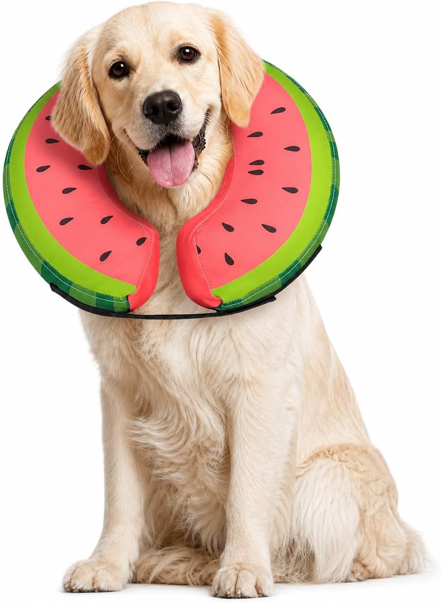 MIDOG Inflatable Dog Cone After Surgery, Donut Collar for Large Dogs, L