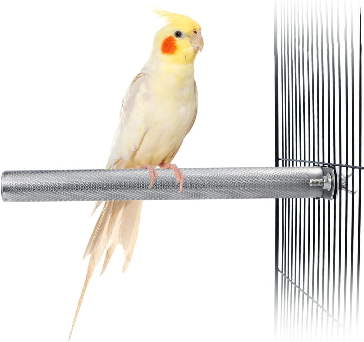 Wontee Bird Perch Stand Stainless Steel Parrot Cage Perch Accessories for Parakeets Cockatiels Conures African Greys Macaws Amazon Parrots (L (11.8"x1")