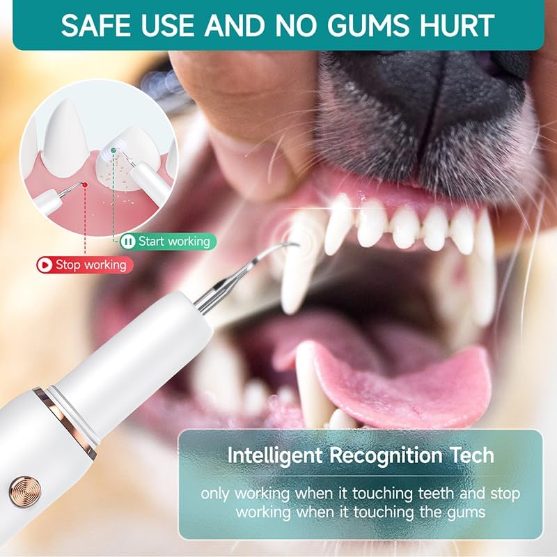 Palvo Dog Plaque Remover for Teeth,Pet Tooth Cleaner with LED Light,Cleaning Kit for Tartar and Stains,5 Adjustable Modes,Pet Teeth Cleaning kit,Suitable for Dogs and Cats