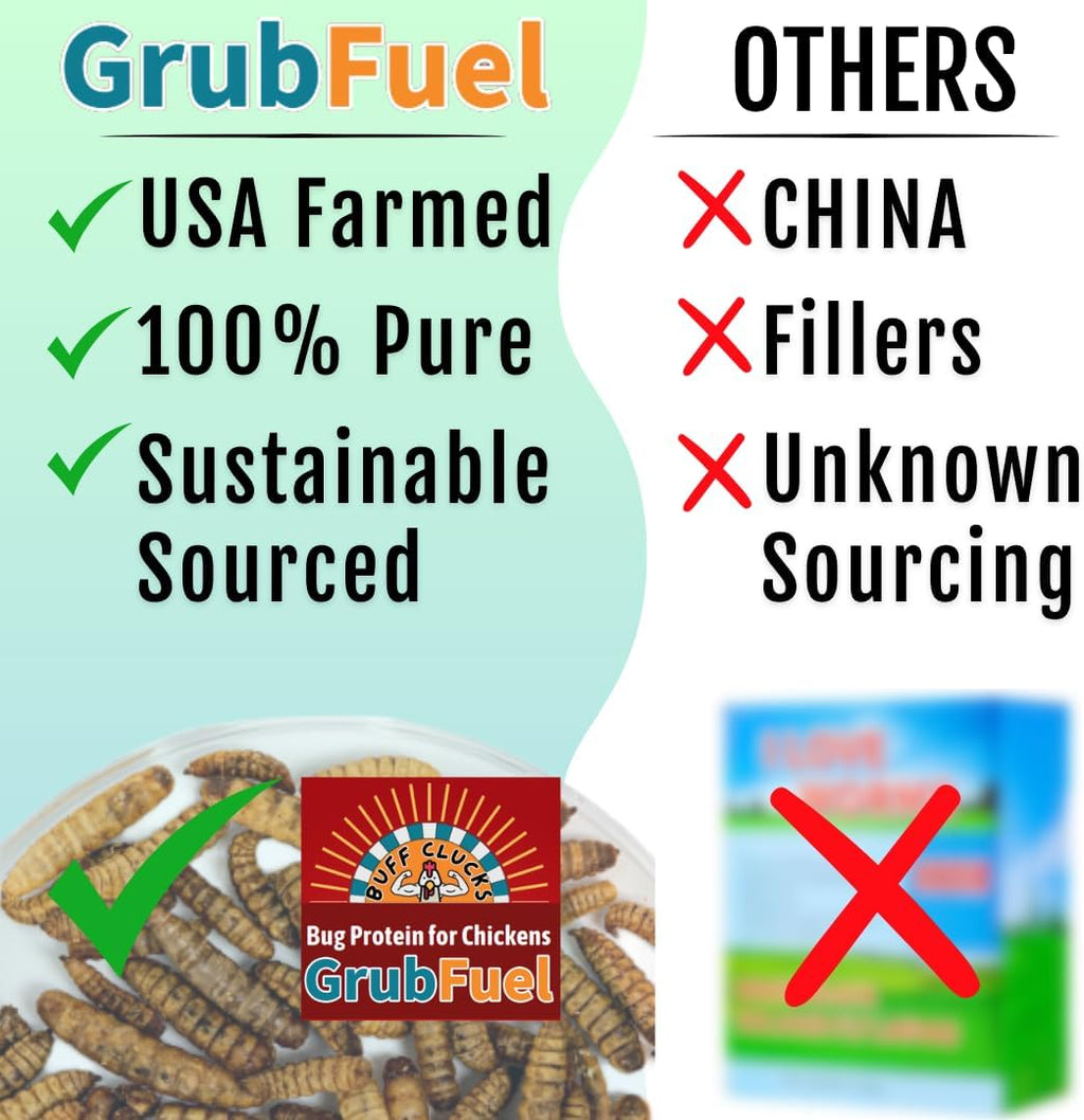 Buff Clucks Grub Fuel Black Soldier Fly Larvae for Chickens, Chick Feed 1lb