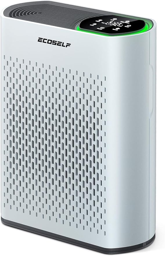 Air Purifier for Large Room, Cleans 2, 400 ft² in 30 Mins, 3-Stage True HEPA by ECOSELF