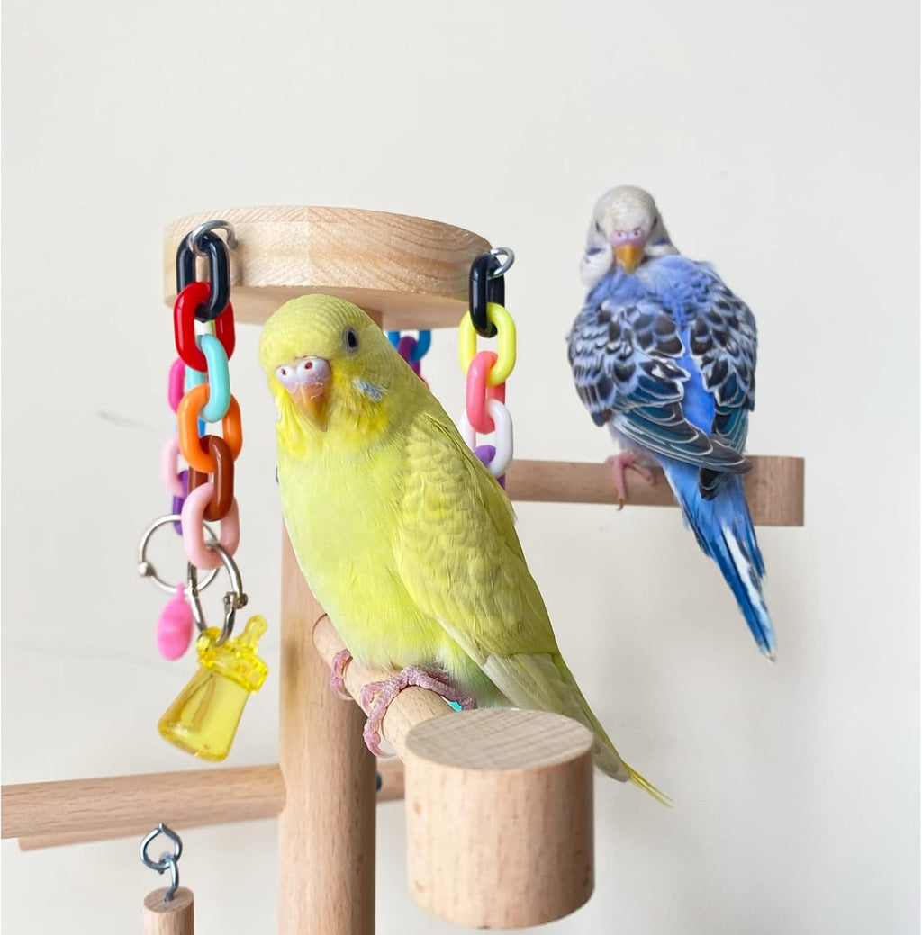 Large Bird Playground Cockatiel Wood Playstand with Perch Swing Ladder Chew