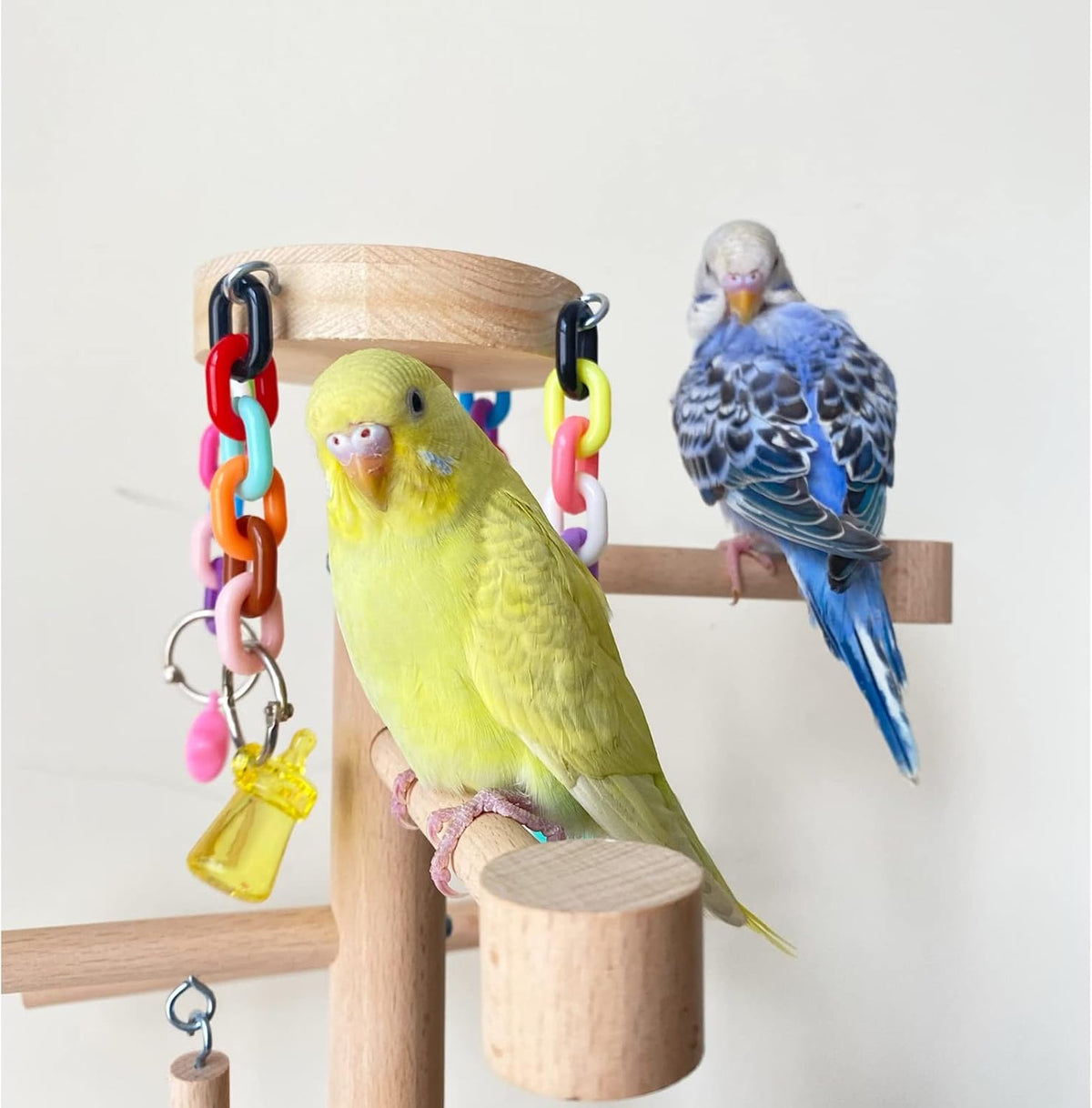 Large Bird Playground Cockatiel Wood Playstand with Perch Swing Ladder Chew