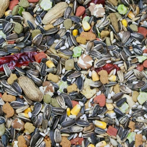 Higgins Vita Seed Parrot 3 Lbs.