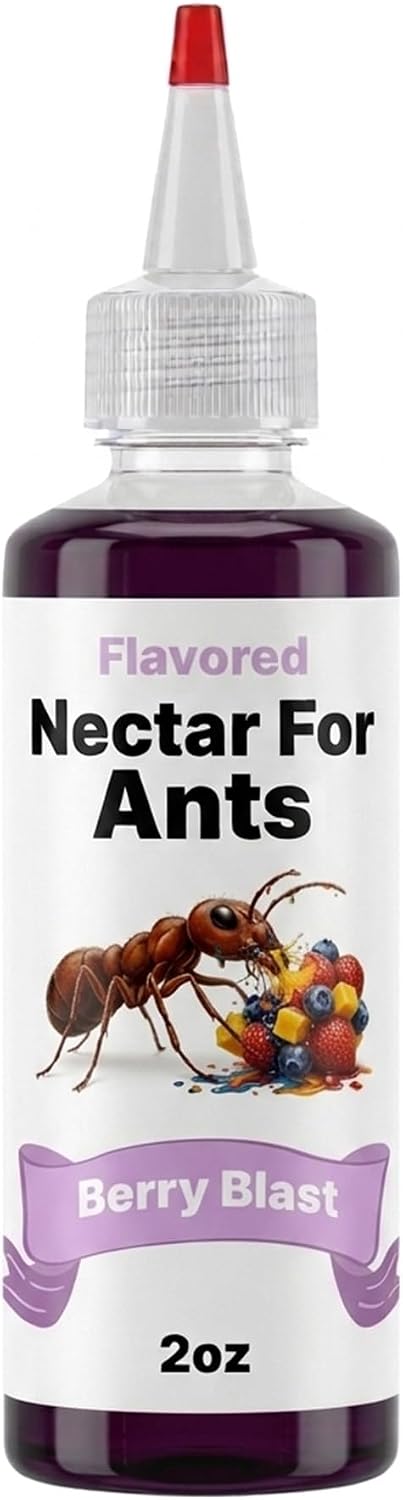 CTWPets Flavored Nectar for Ants — Liquid Ant Food with Electrolytes | Sugar Water Feeding Supplement | 5 Flavors | 2 fl oz (Strawberry)