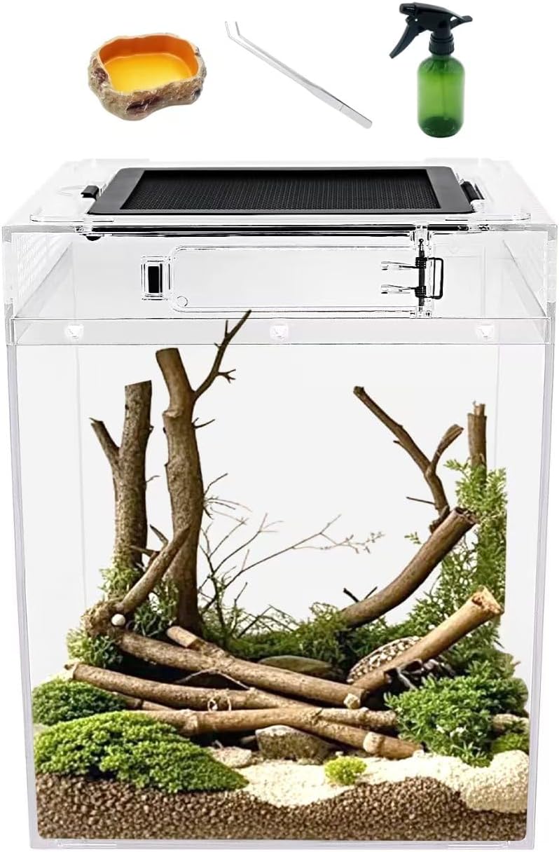 Reptile Growth Mini Reptile PC Terrarium,8x8x7 inch Amphibian Tank Starter Kit Habitat Cage，for Insect，Fish，Tarantula，Turtles，Jumping Spiders and Small Reptiles